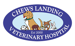 Chews Landing Veterinary Hospital